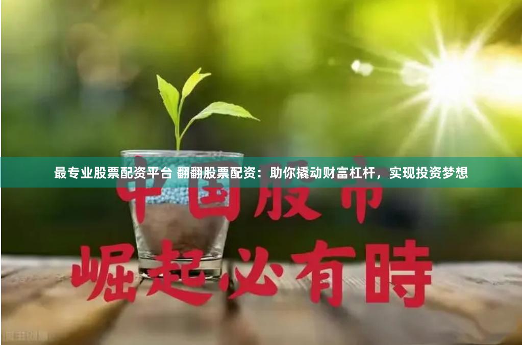 最专业股票配资平台 翻翻股票配资:助你撬动财富杠杆,实现投资梦想